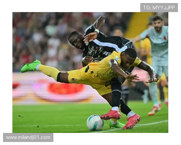 米兰体育网址官方地址查询流程详解及官方资源获取指南