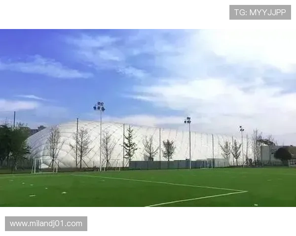 乐动全体育ios常见问题与解决方案，快速排查使用中遇到的各种困扰