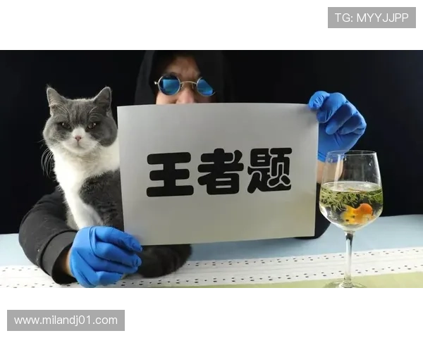 博鱼官网登录入口全面解析确保玩家快速安全登录游戏平台